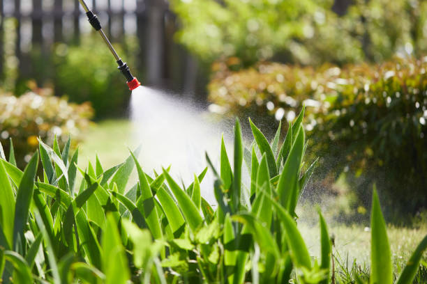 24/7 Emergency Mosquito Control experts in Williamson, AZ