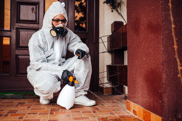 Reliable Mosquito Control contractor in Williamson, AZ by Show Me Pest Control